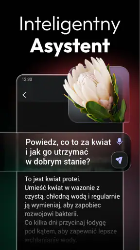 ChatOn – Czat AI po Polsku