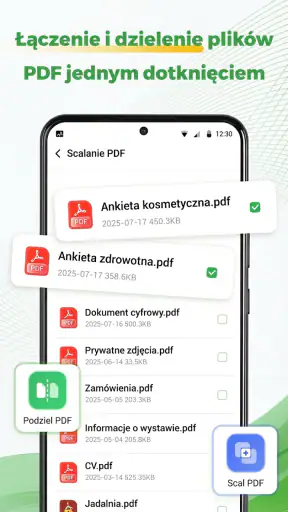 Czytnik plików PDF