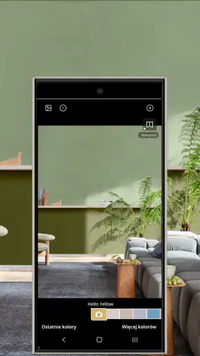 Dulux Visualizer PL
