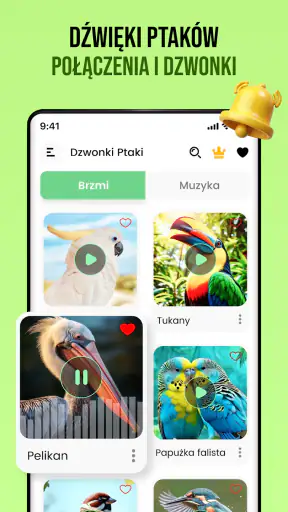 Dźwięki ptaków