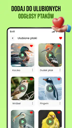 Dźwięki ptaków