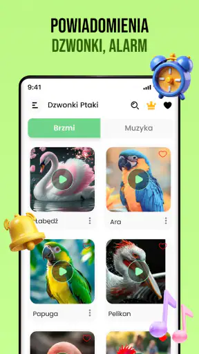 Dźwięki ptaków