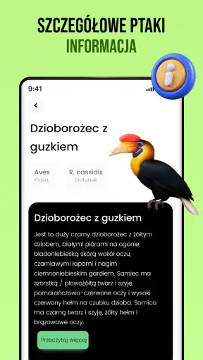 Dźwięki ptaków