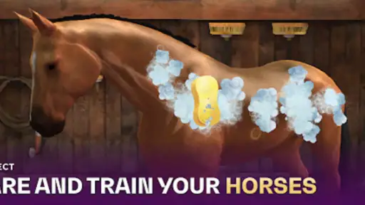 Equestriad World Tour 26