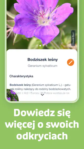 Flora Incognita