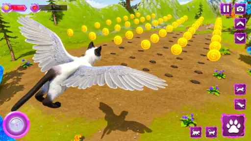 Flying Wild Cat Care Sim 3D