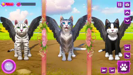 Flying Wild Cat Care Sim 3D