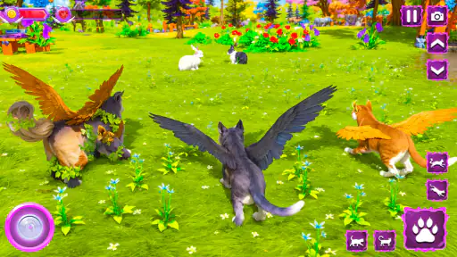 Flying Wild Cat Care Sim 3D