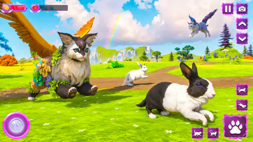 Flying Wild Cat Care Sim 3D