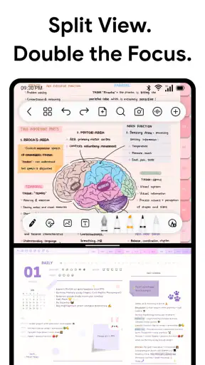 Freenotes: Notatki AI i PDF