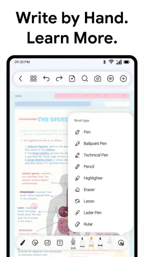 Freenotes: Notatki AI i PDF