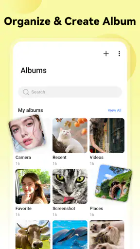 Galeria – Album, Galeria zdjęć