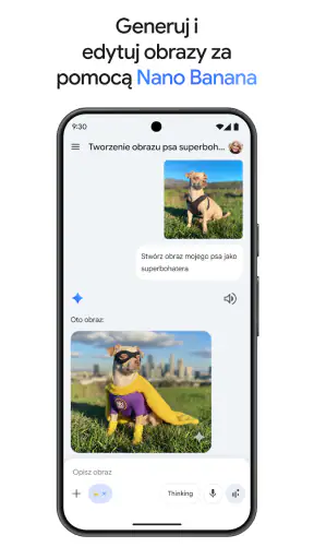 Gemini od Google