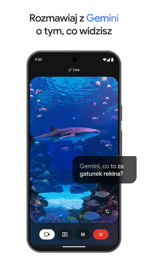 Gemini od Google