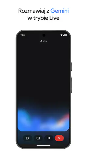 Gemini od Google