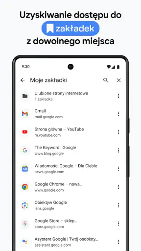 Google Chrome