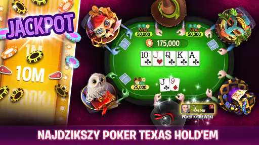 Governor of Poker - Karty