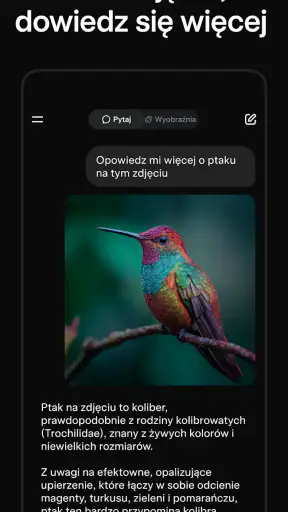 Grok - Asystent AI