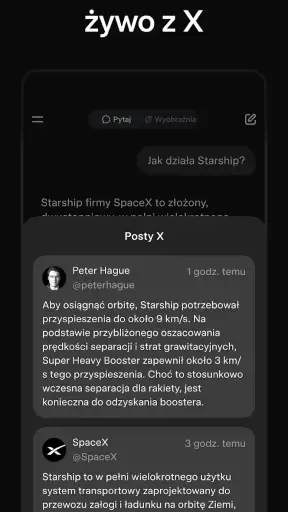 Grok - Asystent AI