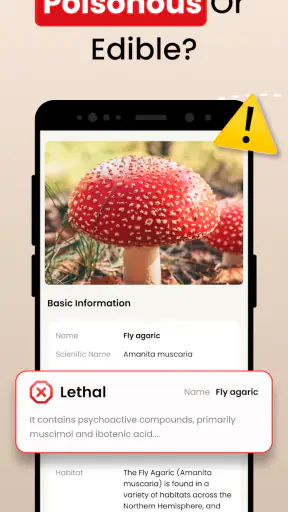 Grzyby Rozpoznawanie: Fungi ID