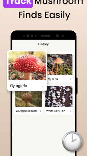 Grzyby Rozpoznawanie: Fungi ID