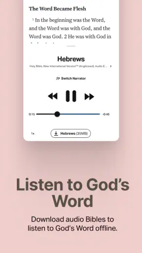 Holy Bible Offline NIV KJV App