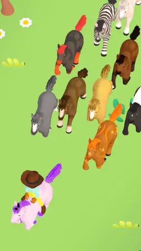Horse Life