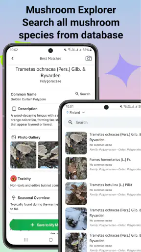 Identyfikator grzybów