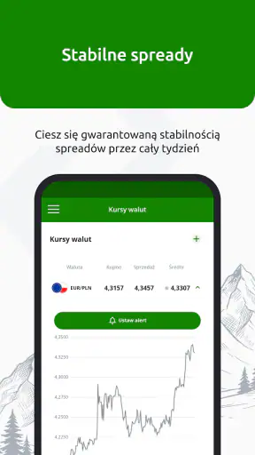 InternetowyKantor.pl