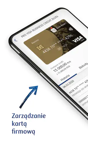 iPKO biznes