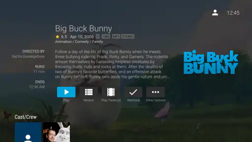 Jellyfin for Android TV