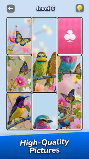 Jigsawcard Solitaire Puzzle