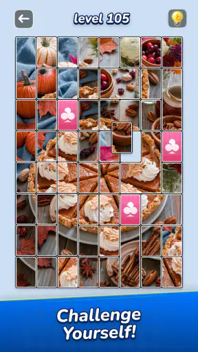 Jigsawcard Solitaire Puzzle