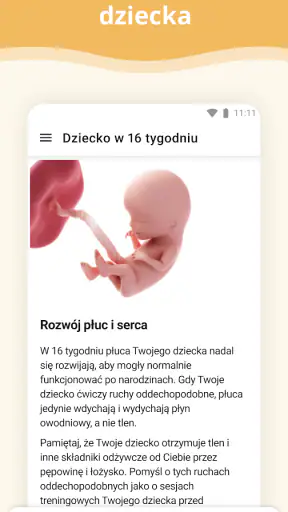 Kalendarz ciąży