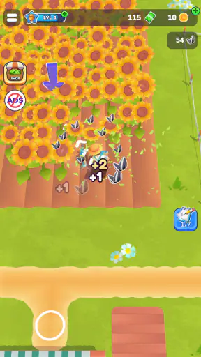 Little Farm Story