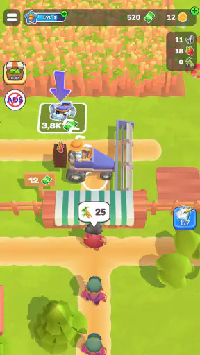 Little Farm Story