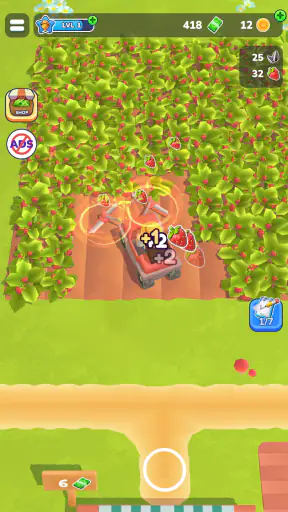 Little Farm Story
