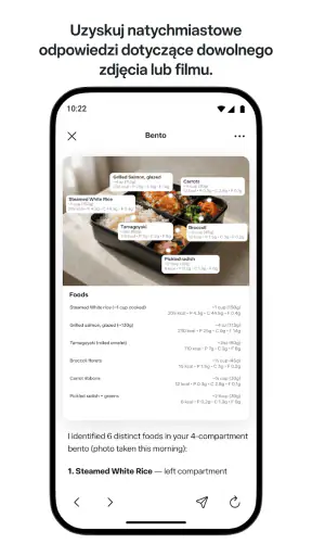 Meta AI