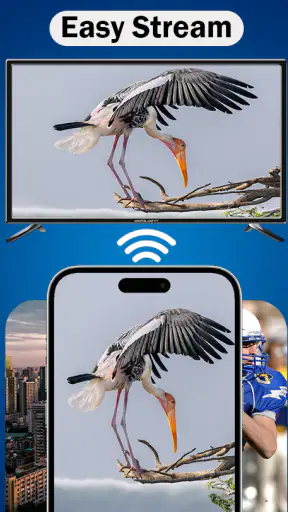 MirrorLink App for Car