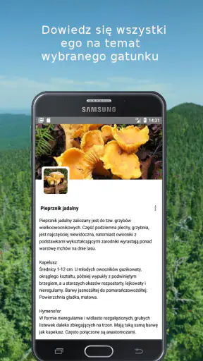 Mushroom Identify (identyfika