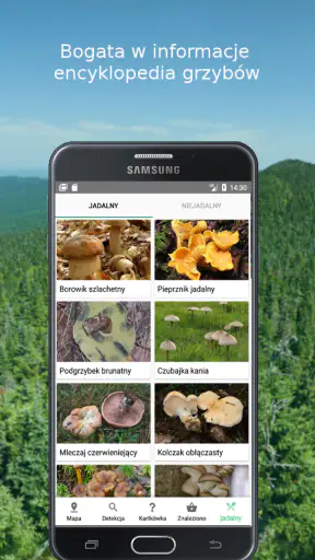 Mushroom Identify (identyfika