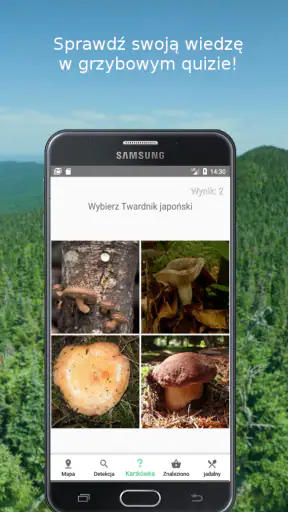 Mushroom Identify (identyfika