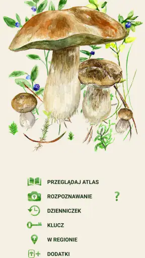 Na grzyby