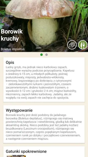 Na grzyby