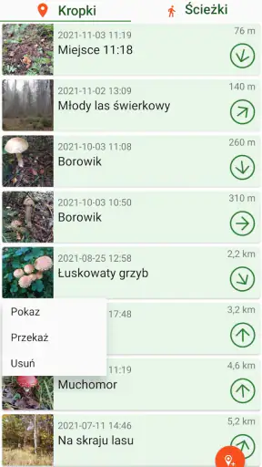 Nawigator Grzybiarza Lite