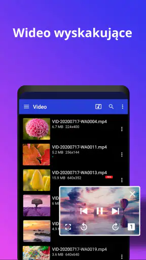 Odtwarzacz wideo All Format