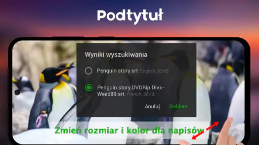 Odtwarzacz Wideo Cały Format