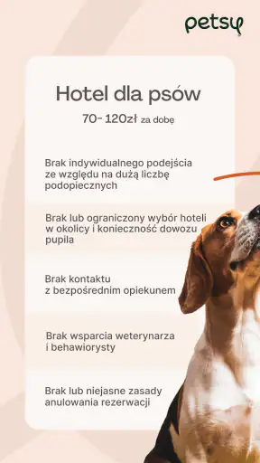 Petsy