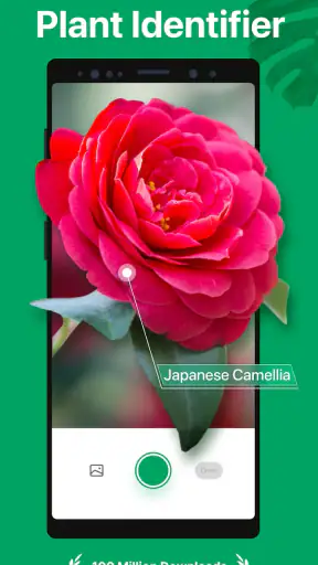 PictureThis - Plant Identifier