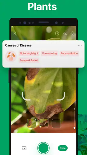 PictureThis - Plant Identifier